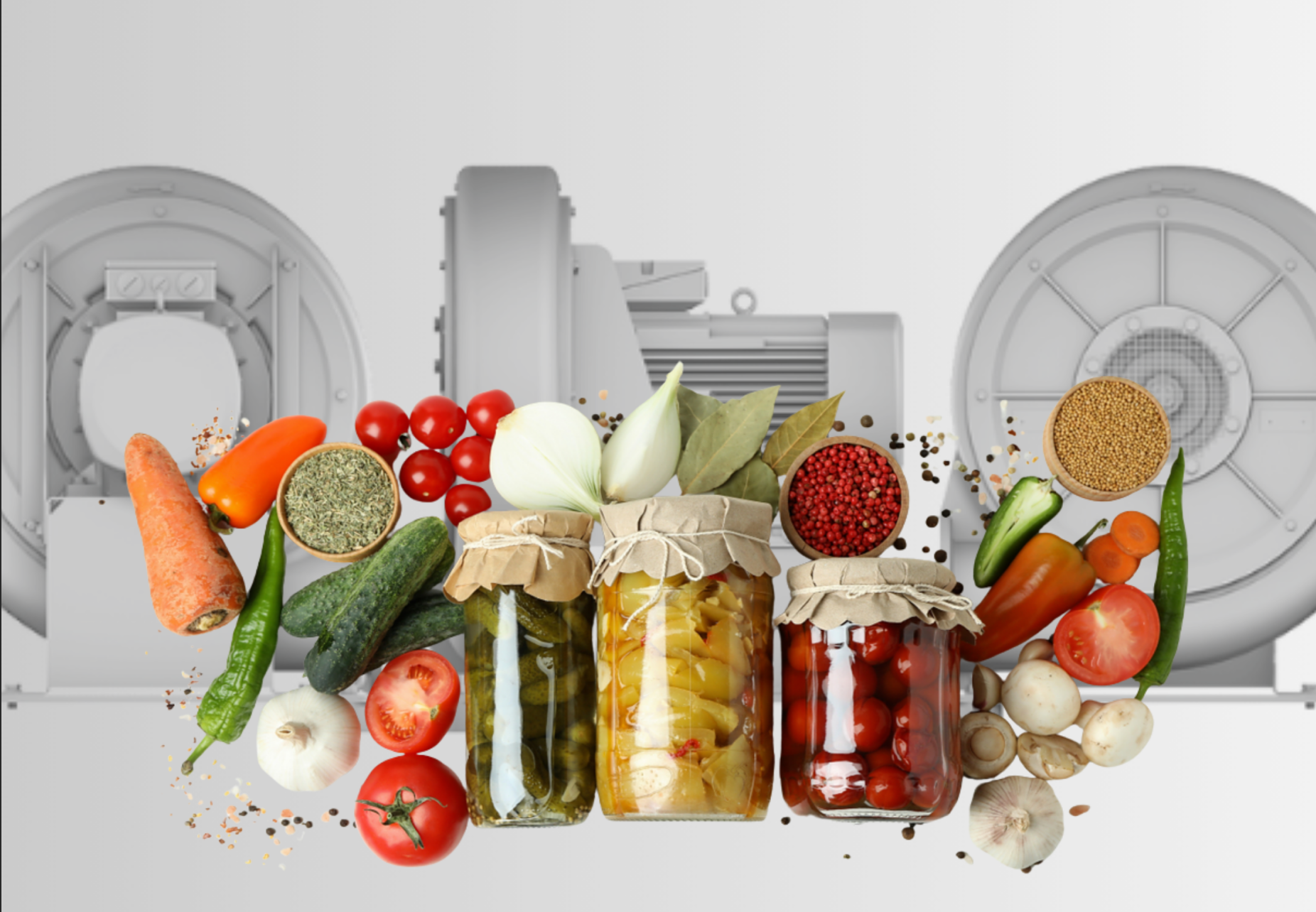 German Elektror Fans in Food Processing: Applications and Advantages in "Process Drying & Cooling"