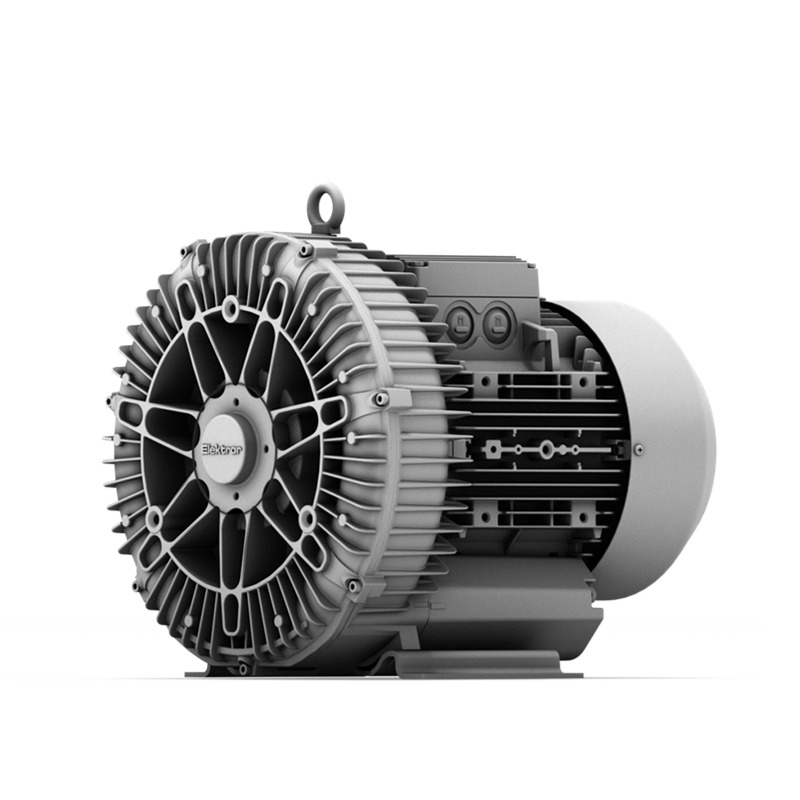 High-Efficiency Solutions: Application Scenarios for Elektror 1SD Side Channel Blowers